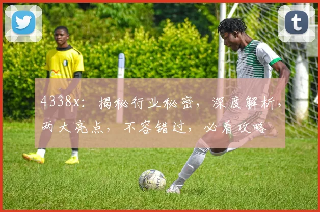 4338x：揭秘行业秘密，深度解析，两大亮点，不容错过，必看攻略