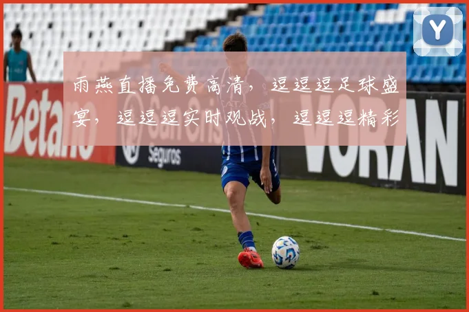 雨燕直播免费高清，逗逗逗足球盛宴，逗逗逗实时观战，逗逗逗精彩不断