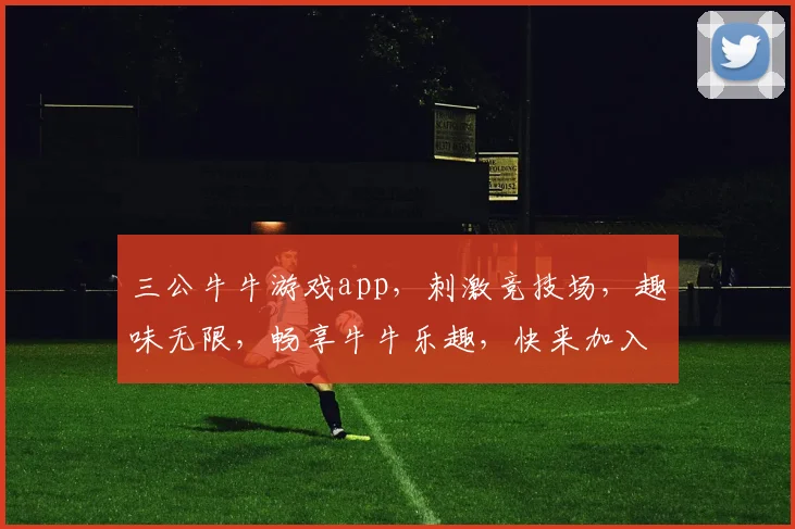 三公牛牛游戏app，刺激竞技场，趣味无限，畅享牛牛乐趣，快来加入